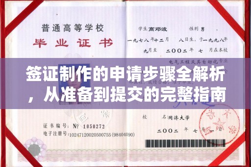 康县签证制作的申请步骤全解析，从准备到提交的完整指南